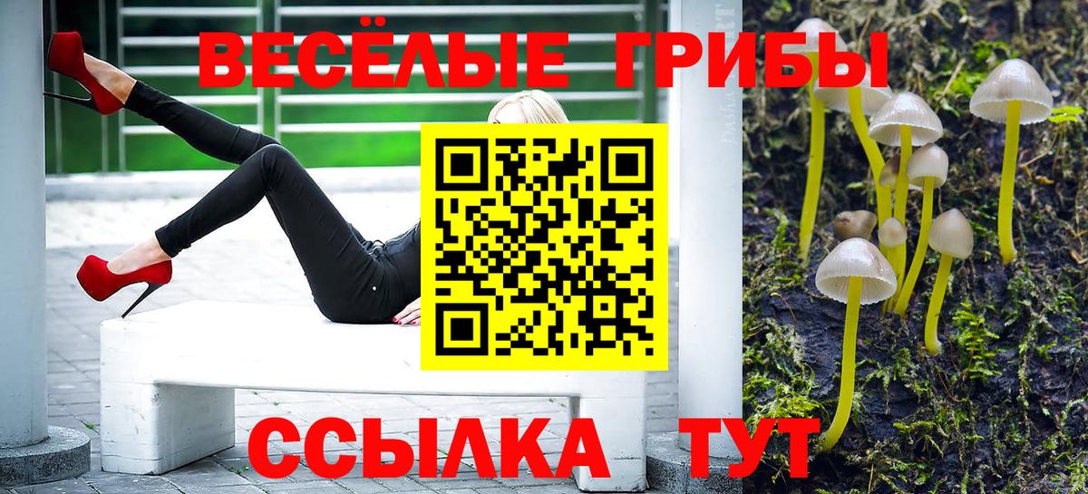 Галлюциногенные грибы Psilocybine cubensis Шали