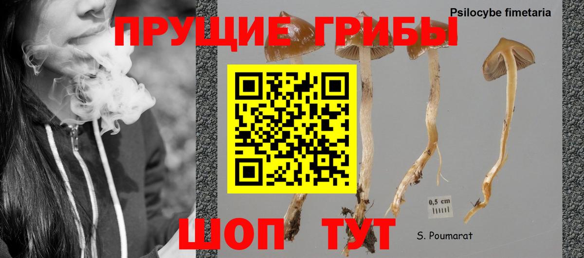 где купить наркоту  Галлюциногенные грибы ЛСД  Шали  Вход с VPN  Псилоцибиновые грибы ЛСД 