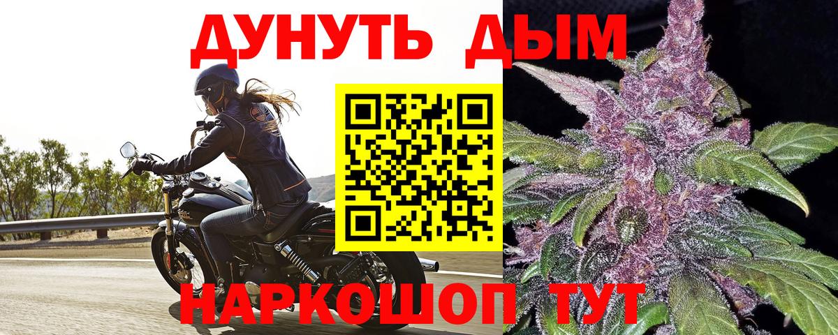 Бошки Шишки семена Шали